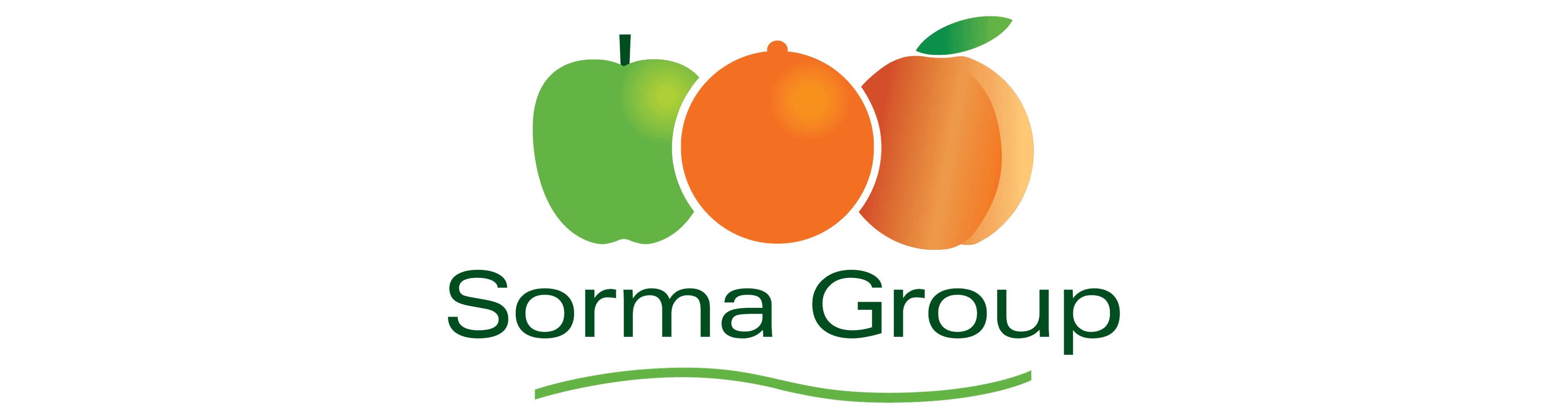 SORMA GROUP.png